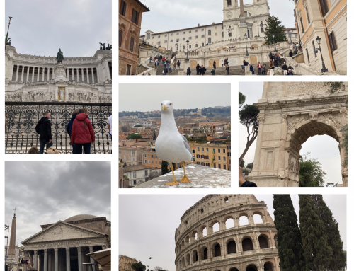 Day 8: Finale in Rome – Murder Mystery