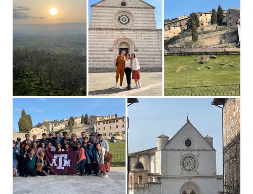 Day 6: The Wonders of Assisi